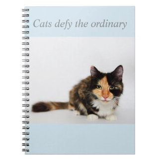 Los "gatos desafían" el cuaderno ordinario de