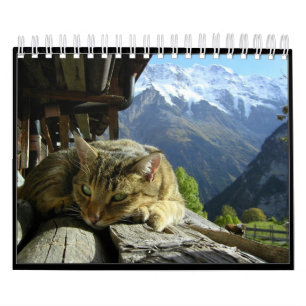 Los gatos hacen calendarios 2012