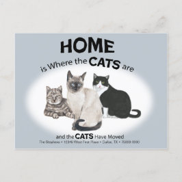 Los gatos han cambiado la postal