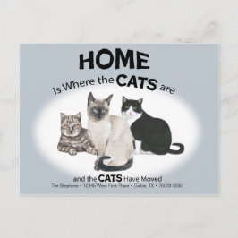 Los gatos han cambiado la postal