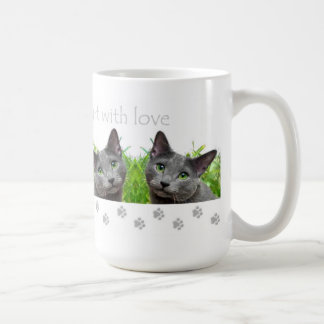 Los gatos llenan su taza del corazón