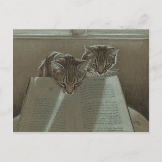 Los gatos me ayudan a leer la postal del libro