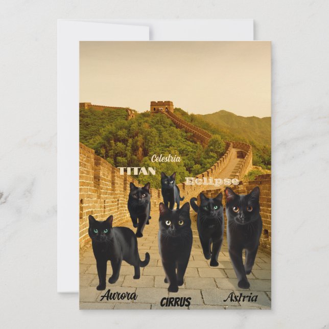 Los gatos negros invaden la tarjeta de vacaciones  (Anverso)