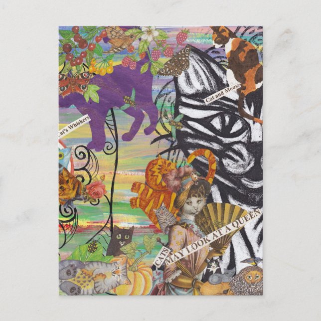 Los gatos pueden mirar una postal de reina (Anverso)