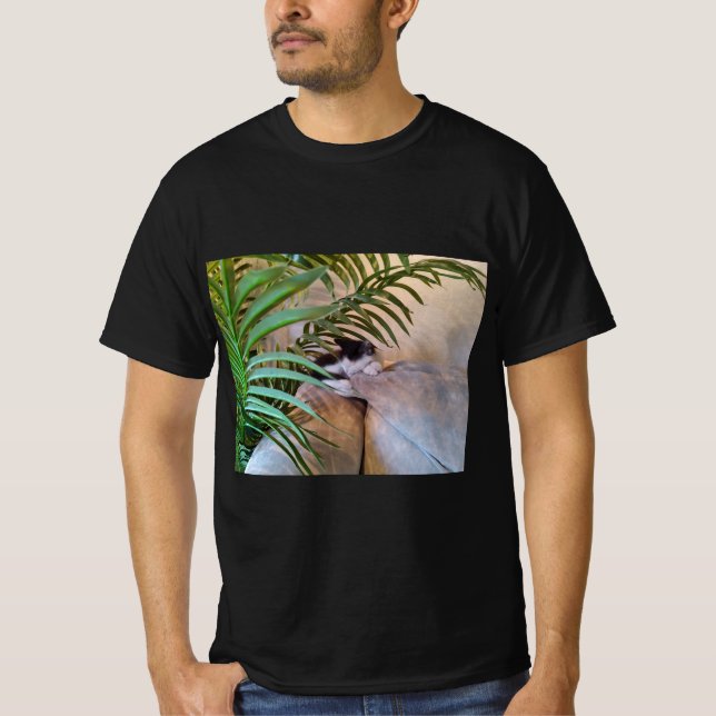 Los gatos son la mejor camiseta (Anverso)