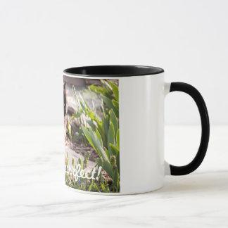 LOS GATOS SON TAZA DE CAFÉ DE PURFFECT