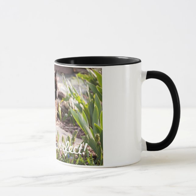 LOS GATOS SON TAZA DE CAFÉ DE PURFFECT (Derecha)