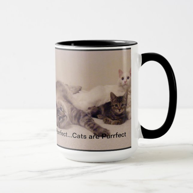 los gatos son taza del purrfect (Derecha)