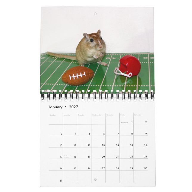 Los Gerbils hacen calendarios (la reimpresión) (Jan 2027)
