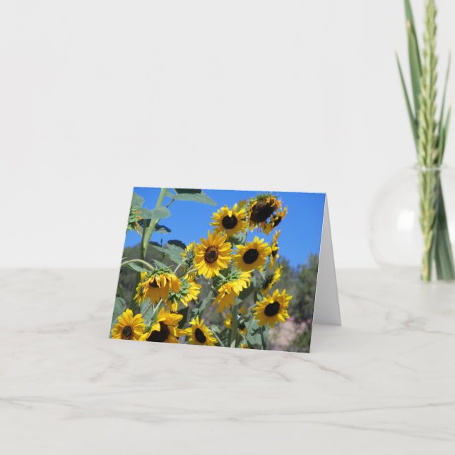 Los girasoles al sol y un cielo azul claro (Anverso)