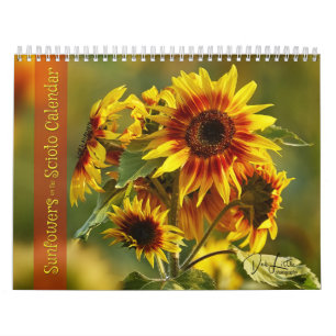 Los girasoles en el calendario de Scioto