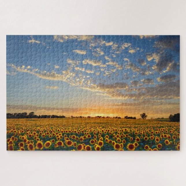 Los girasoles en el rompecabezas del atardecer (Horizontal)