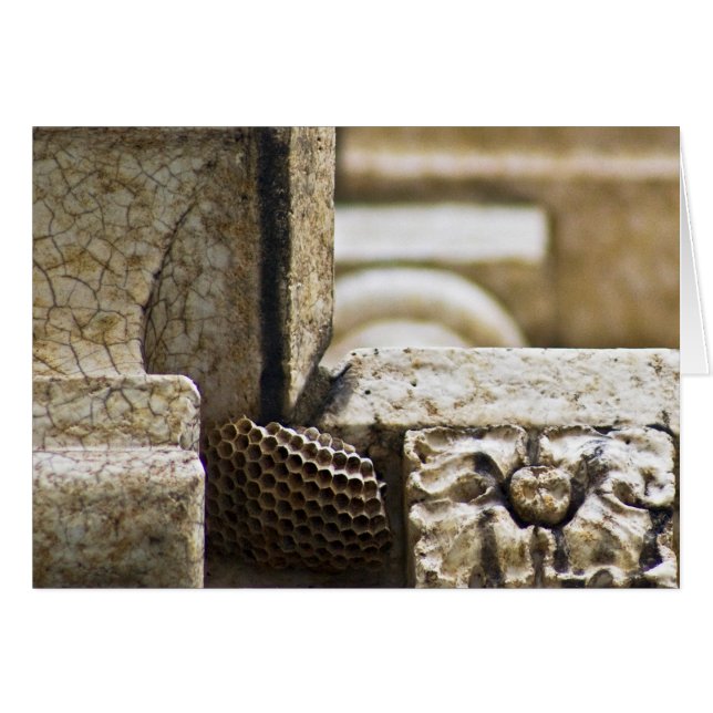 Los grandes arquitectos (Anverso (Horizontal))