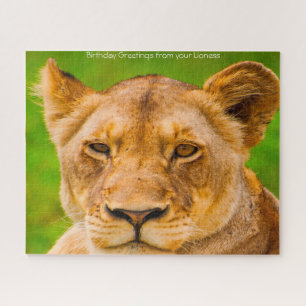 Los Grandes Felinos Leones. Rompecabezas