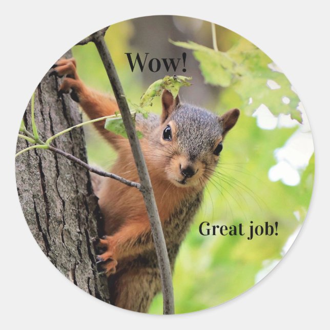Los grandes Pegatinas de trabajo del Sr. Squirrel (Anverso)
