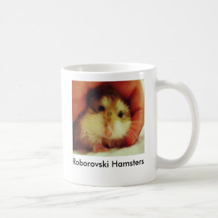 Los hámsteres de Roborovski se dirigen la taza