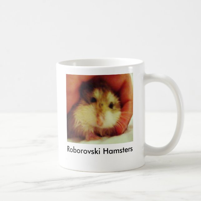 Los hámsteres de Roborovski se dirigen la taza (Derecha)