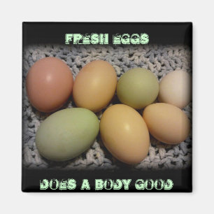 Los huevos hacen los buenos imanes de un cuerpo