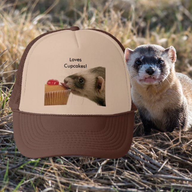 Los hurones aman a los pasteles Gorra (Ferrets Love Cupcakes Hat)