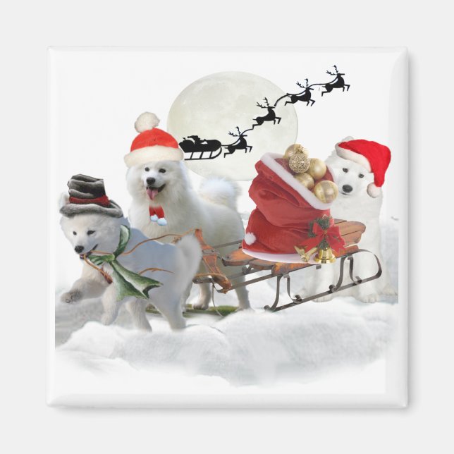 Los imanes de los Navidades samoyados (Frente)