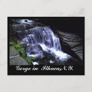 LOS JUEGOS DE ITHACA, postal N.Y.