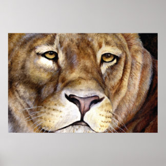Los leones se enfrentan a un poster de arte fino