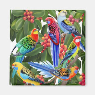 Los loros de Rosella en el imán de los árboles de