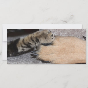 Los mejores amigos para siempre por Shirley Taylor