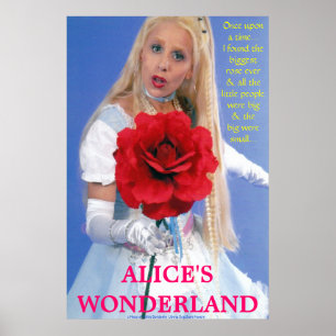 LOS MEJORES POSTERS - ALICE EN WONDERLAND - UNA NU