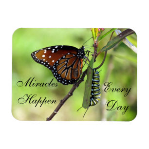 Los milagros ocurren en el imán