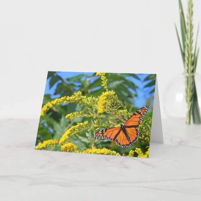 Los monarcas - Tarjeta de felicitación en blanco (Anverso)