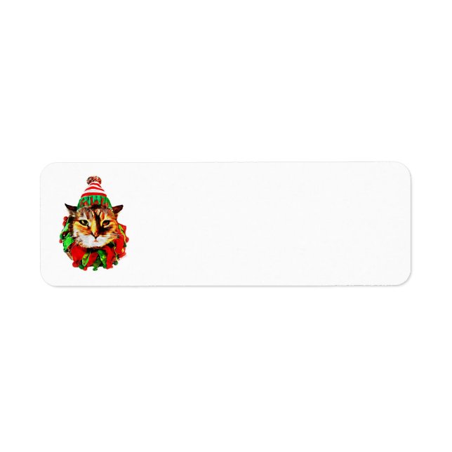 Los Navidades de Lil Luv se dirigen a las etiqueta (Frente)