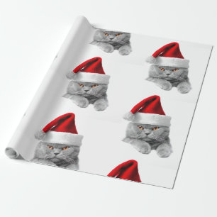 Los Navidades de papel envueltos rozan gato con so
