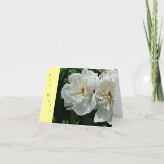 Los nuevos jardines del día consiguen a tarjeta
