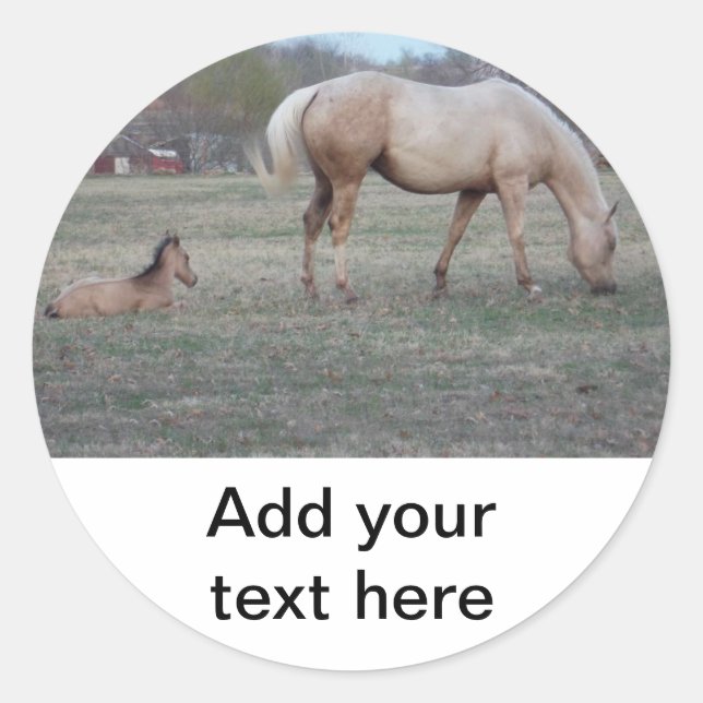 Los nuevos Pegatinas (Anverso)