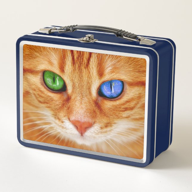 Los ojos de gato coloreado (Anverso)