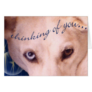 ¡Los ojos lo tienen!