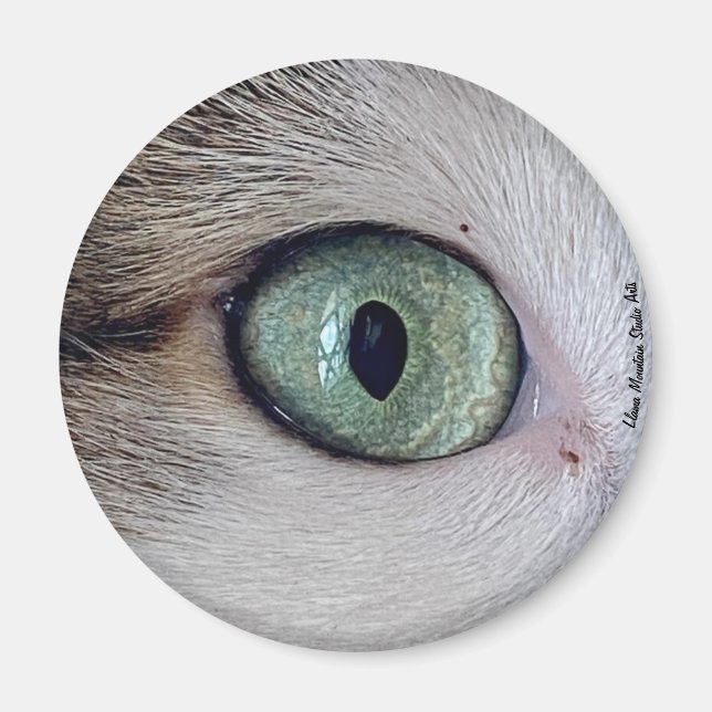 "Los ojos lo tienen" imán de ojos para gatos (Frente)
