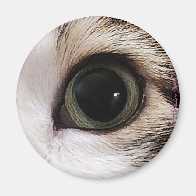 "Los Ojos Lo Tienen" ojo de gato #2 imán (Frente)