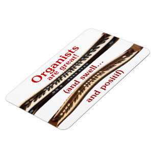 Los organizadores son un gran imán flexible