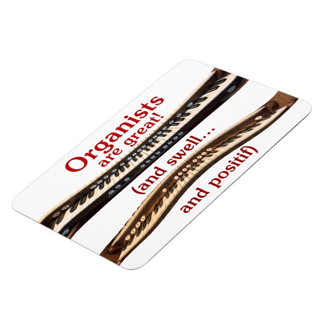 Los organizadores son un gran imán flexible (Lado Izquierdo)