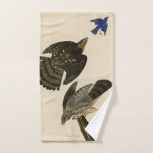 Los pájaros de América de Stanley (Cooper) Hawk Au