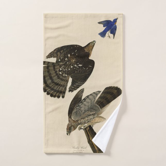 Los pájaros de América de Stanley (Cooper) Hawk Au (Toalla de mano)