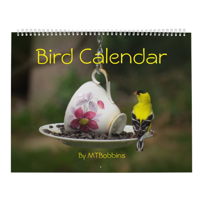 Los pájaros hacen calendarios con grandes números (Tapa)