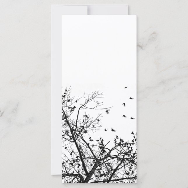 los pájaros negros (Anverso)