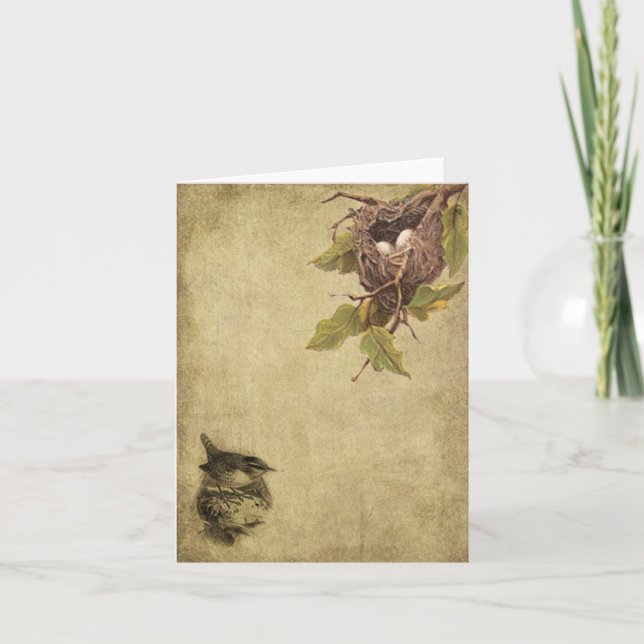 Los pájaros y las jerarquías Prim tarjetas de nota (Anverso)
