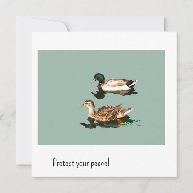 Los patos. Protege tu paz (Anverso)