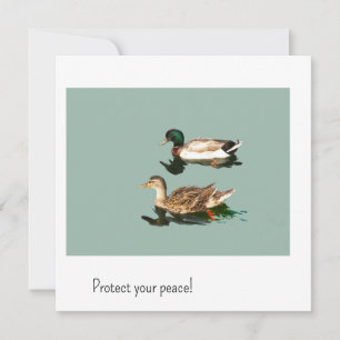 Los patos. Protege tu paz