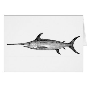 Los peces espadas cardan, ilustracion científico