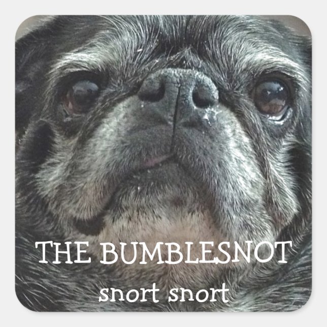 Los pegatinas Bumblesnot "snort snort" (Anverso)